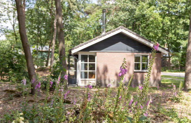 Bungalow in Park De Peel - Car-free Retreat - Photo 17