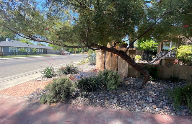 Sequoia Parks Coast Wineries Skiing-Enjoy Hot Tub Firepit Outdoor Kitchen - Foto 51