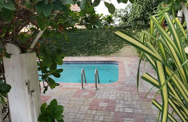 Palms of Liguanea - Foto 17