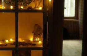 Biały Las Magiczna Stara Chata Puszcza Białowieska - Foto 28