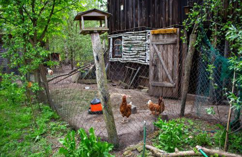 StorchenHof - Foto 27