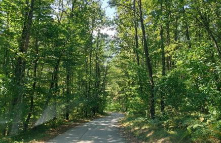 Kuća za odmor ,Erdelj 21 B - Foto 49