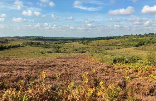 Alices Lodge - Foto 15