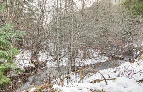 Pet-Friendly Pinehurst Home Hike, Bike and Ski! - Foto 29