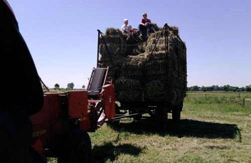 Ferienhaus auf dem Hof - Foto 22