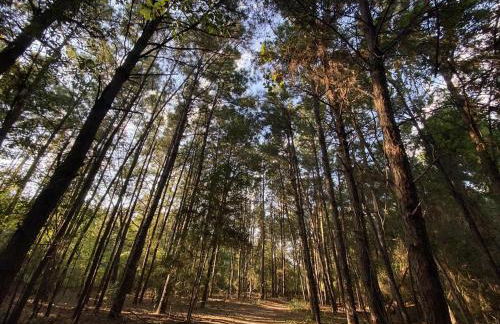 Cypress Gem, Cozy, Central & Pet-Friendly Retreat - Foto 23