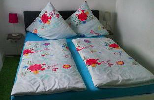 FERIENWOHNUNG POLZER 1 - Foto 5