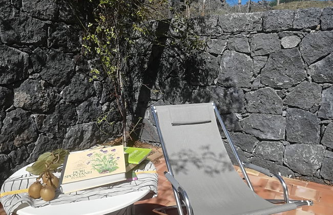 Viola nel Parco - Foto 76