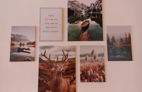 Haus Wiesenquelle - Fewo 14 "Timeout", Feldberg - Foto 10