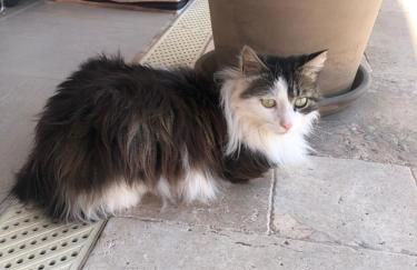 Vue mer.Tranquilité.Cap d'Ail à 10 mn de MONACO - Foto 18