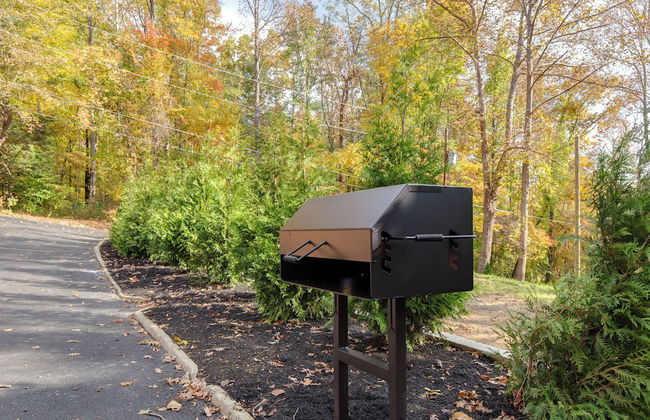 Smoky Mountain Splash - Foto 41