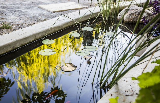 Elisa Villa - Foto 42