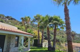 Villa Jolanda - Costa degli Dei - Foto 5