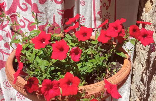 Casa das Mouriscas - Foto 71