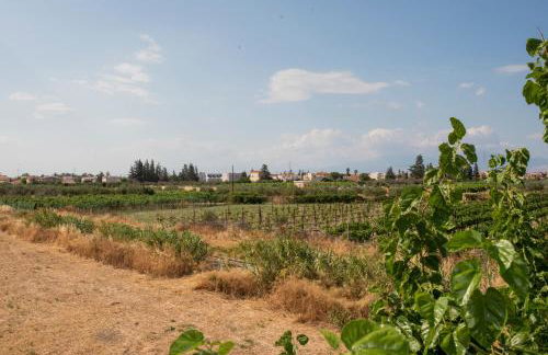 Glykorizo Country Villa, Assos Corinthia - Foto 40