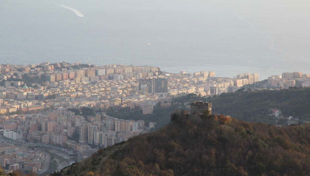 Get the best views of the city from above