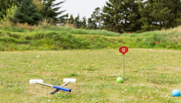 14 Person Holiday Home in Blavand - Foto 5, Golf