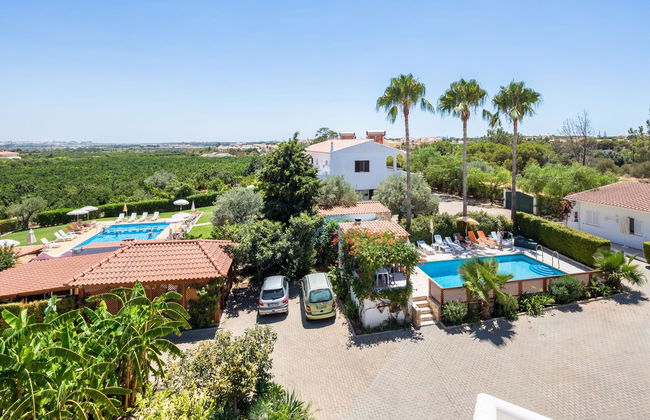 Flor da Laranja - Foto 10