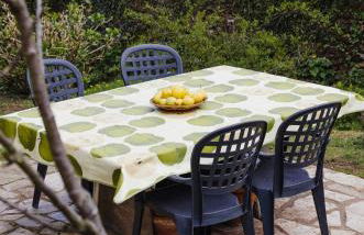 Fonte San Pedrín - Foto 15