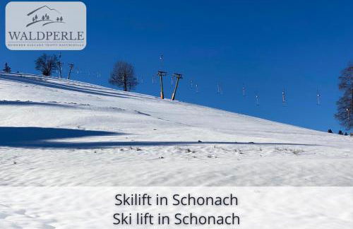 Exklusives 5-Sterne Apartment Waldperle mit Indoor-Pool, Sauna, top Lage und Ausblick in die Natur, Hunde willkommen - Foto 45