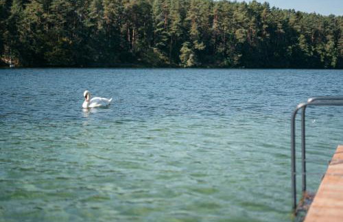 Dom Biały, willa nad jeziorem - Foto 41