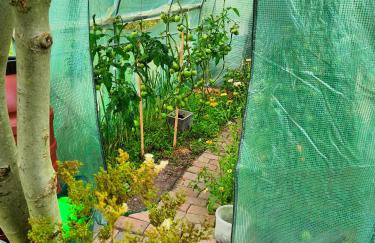 Agroturystyka "Dobre czasy" - Foto 13