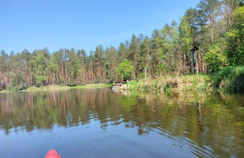 Leśna Chata kuracyjna nad rzeką z sauną w Borach Tucholskich - Foto 53