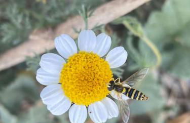 Casa Vidalita Lanjaron - Foto 18