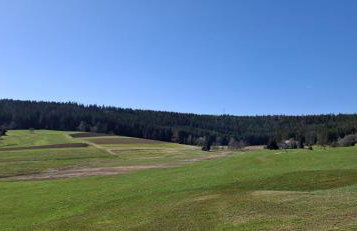 Blackjulie Ferienwohnung im Schwarzwald mit Balkon und Parkplatz ruhig - Foto 25
