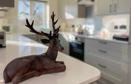 Hunters Cottage - Luxury, high end, hot hub, AC, slipper bath, couples retreat - Photo 18