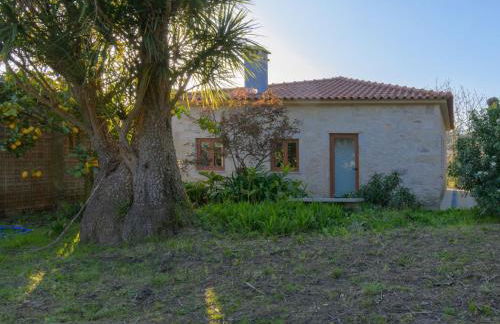 Holiday Home Pedra by Interhome - Foto 45