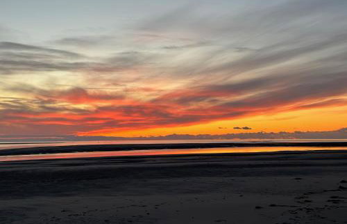 Little Curlew, Ynyslas, Borth - Foto 29