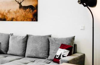 Schwarzwald Apartment mit Balkon-Garage-Aufzug - Foto 18