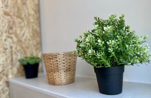 Chaleureux T2 proche gare - Foto 11