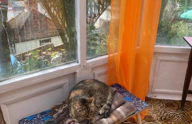 The Retro Retreat with free parking - Foto 21