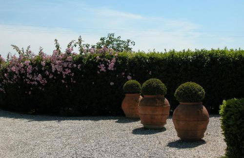 Fattoria di Migliarino - Foto 58