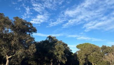 Mas Furriol - Foto 5