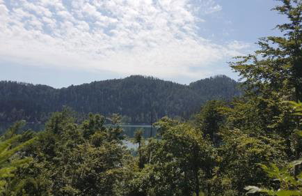 Holiday home Bozica - Foto 8