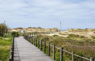 Madalena Beach Apartment by MP - Foto 19