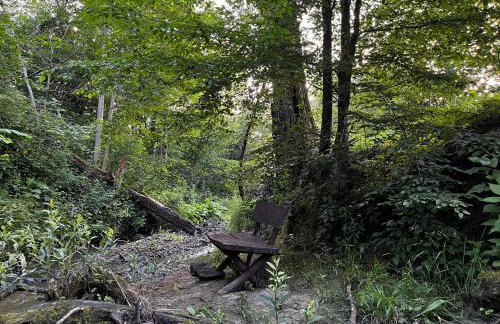 Ośrodek VolfCamp Kwaszenina - Foto 67