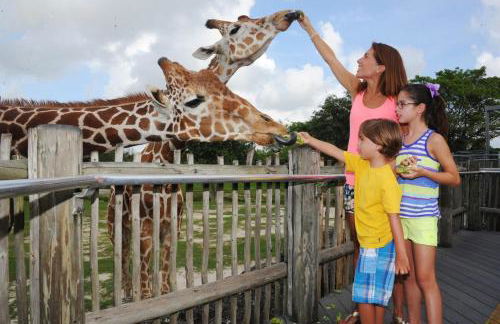 Delightful Sukiya Tiny House! Japanese Garden in Homestead - Foto 94