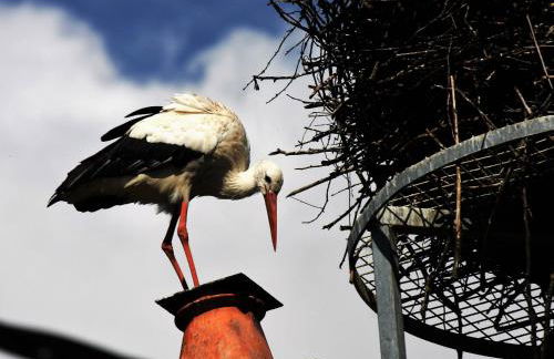 Gîte des trois vallees - Foto 40