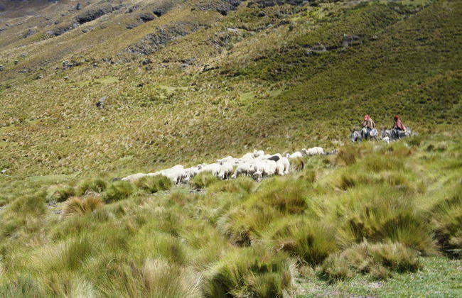 Inca Trail 3-Day Hike - Foto 2