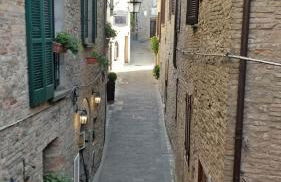 Kairos Montone - Foto 26