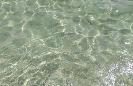 Appartamento Oasi con Piscina - Foto 23