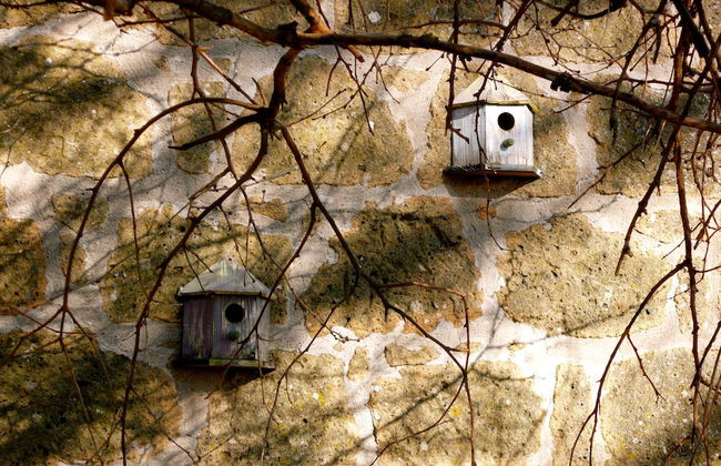 Agriturismo Biologico Sant'Egle - Foto 20