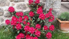 Gite les ducs - Foto 5