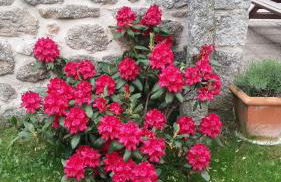 Gite les ducs - Foto 5