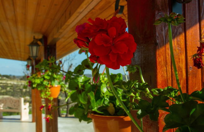 Erigone Cottage - Beautiful Ambiance - Foto 30