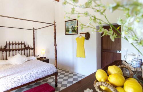 Agroturismo Son Sant Andreu - Foto 45